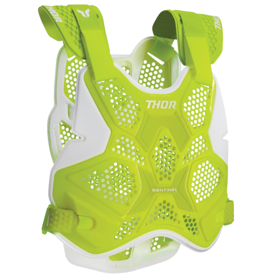Protection: THOR SENTINEL LTD Acid